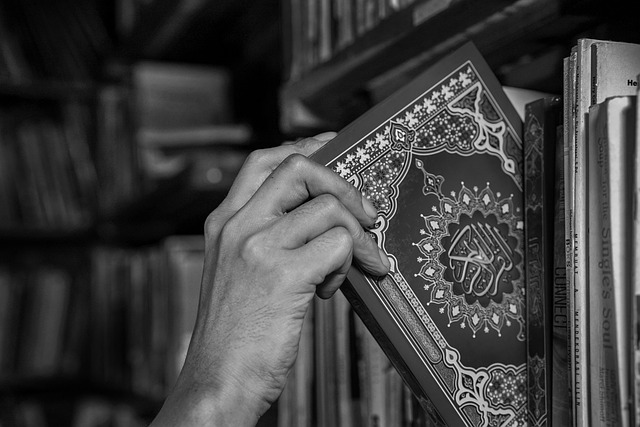 How to Learn Quran Online: Complete Beginner’s Guide